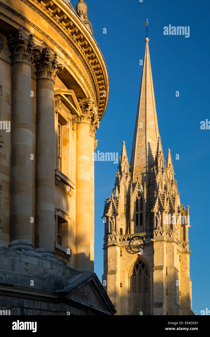 Sera La luce del sole su Radcliffe Camera e la torre della chiesa di Santa Maria di Oxford, Oxfordshire, Inghilterra Foto Stock