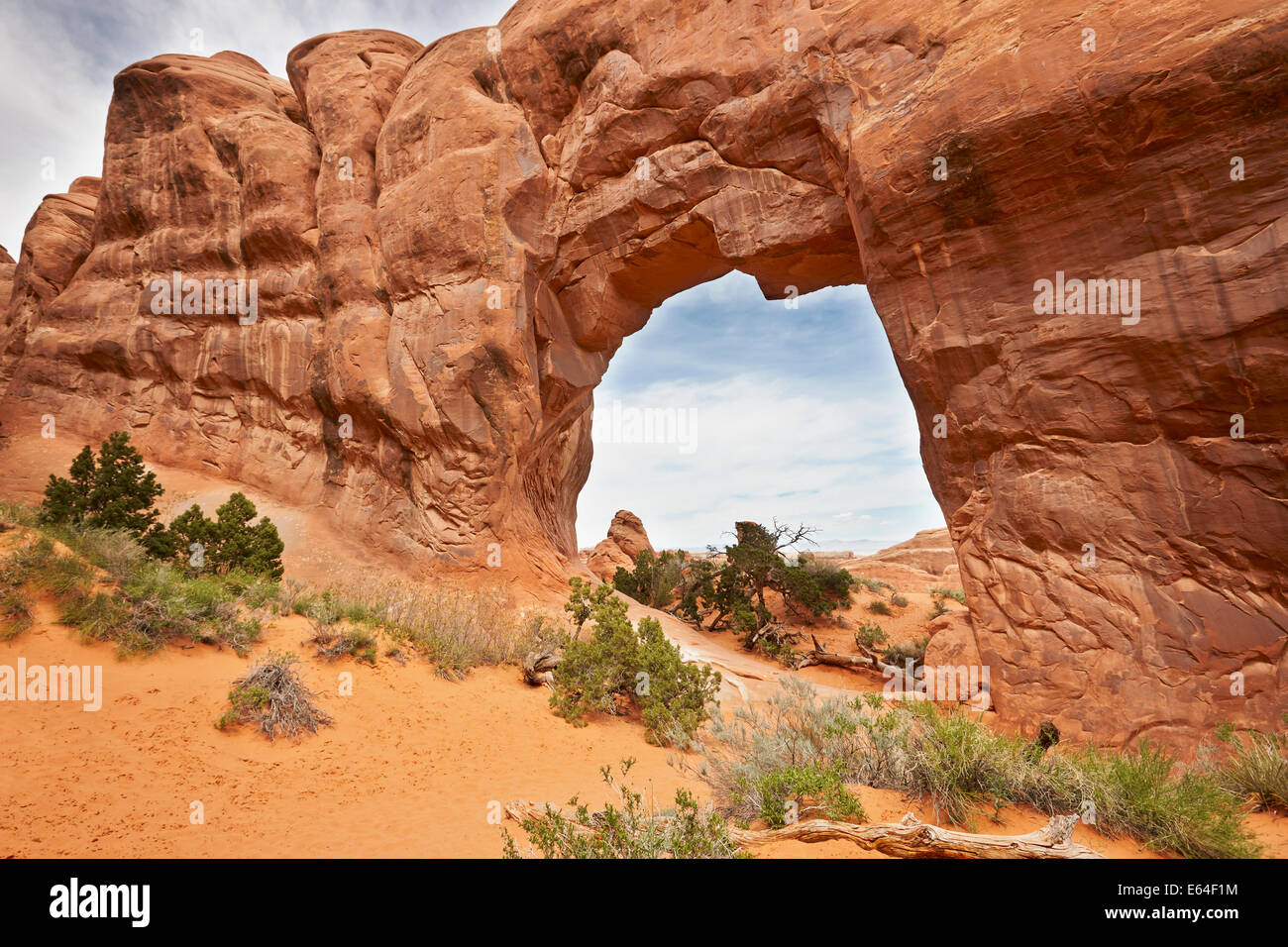 Pino Arch. Parco Nazionale di Arches, Utah, Stati Uniti d'America. Foto Stock