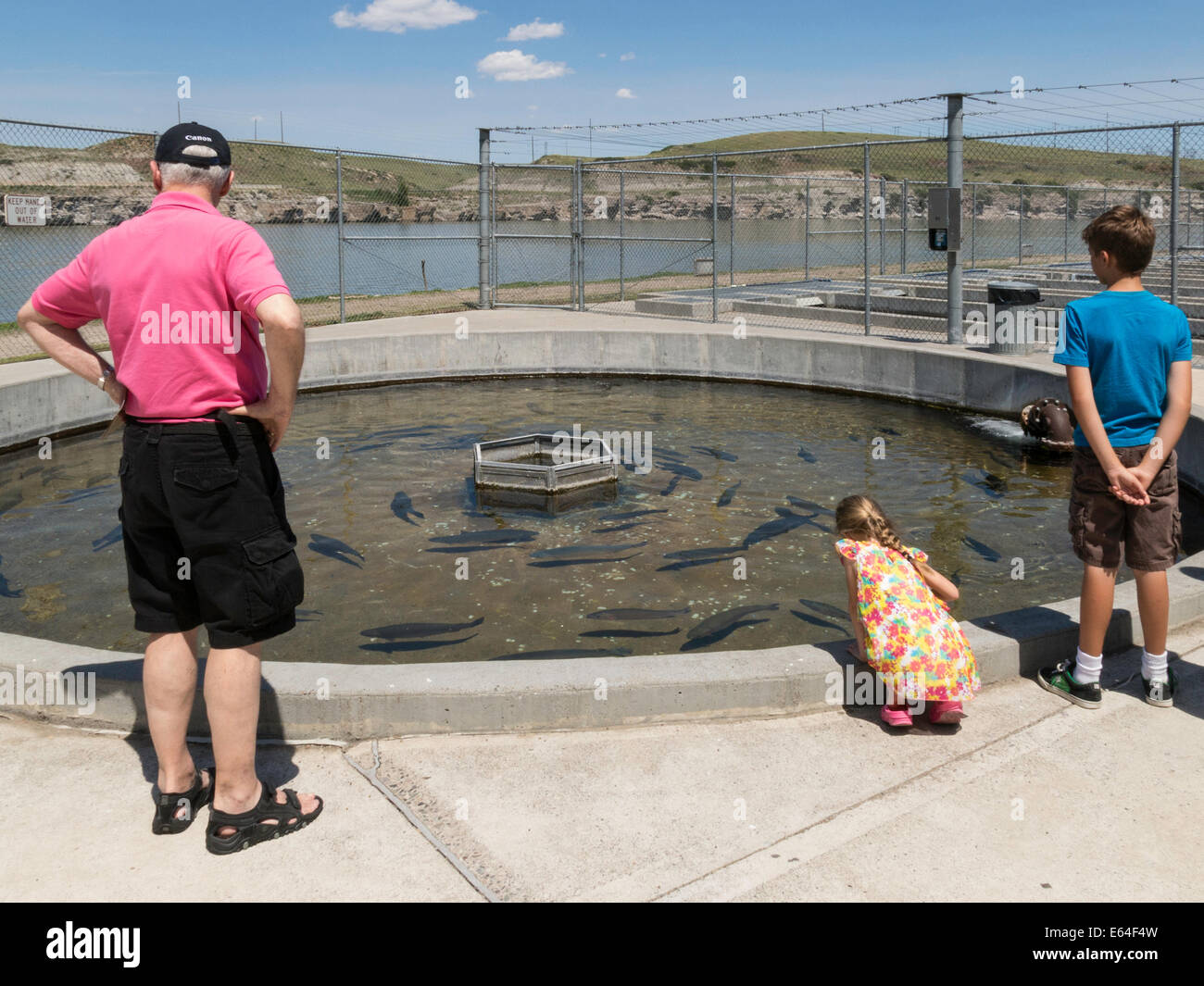 Giant Springs state Park, vivaio ittico, acquacoltura, Great Falls, Montana, USA Foto Stock