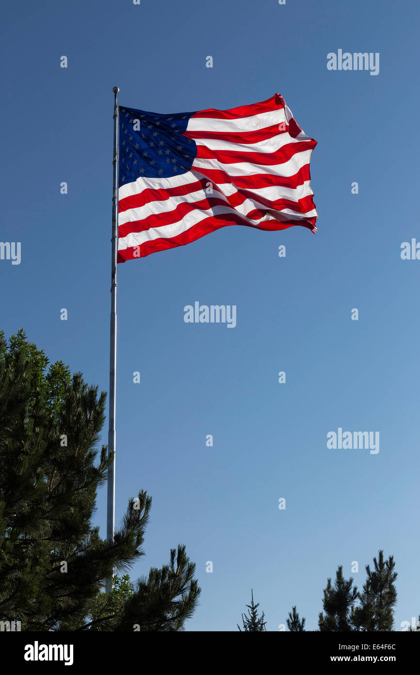 Stati Uniti Onde di bandiera nel vento, STATI UNITI D'AMERICA Foto Stock