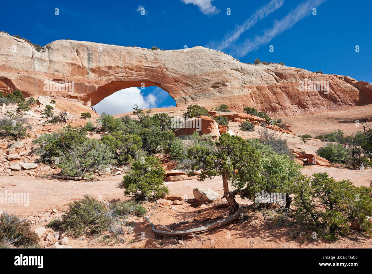 Wilson Arch, Utah, Stati Uniti d'America. Foto Stock