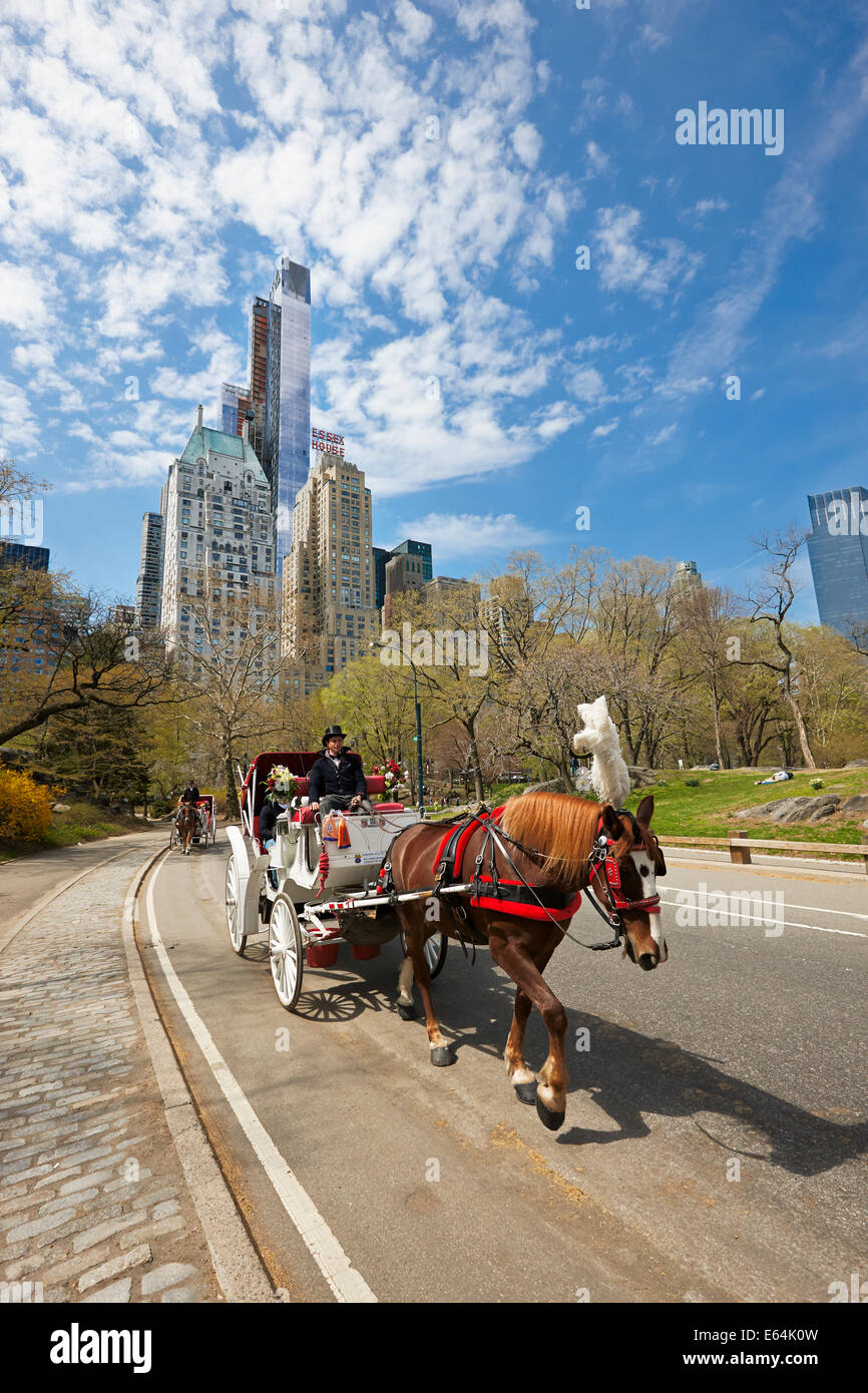 Tradizionale carrozza trainata da cavalli in Central Park. Manhattan, New York, USA. Foto Stock
