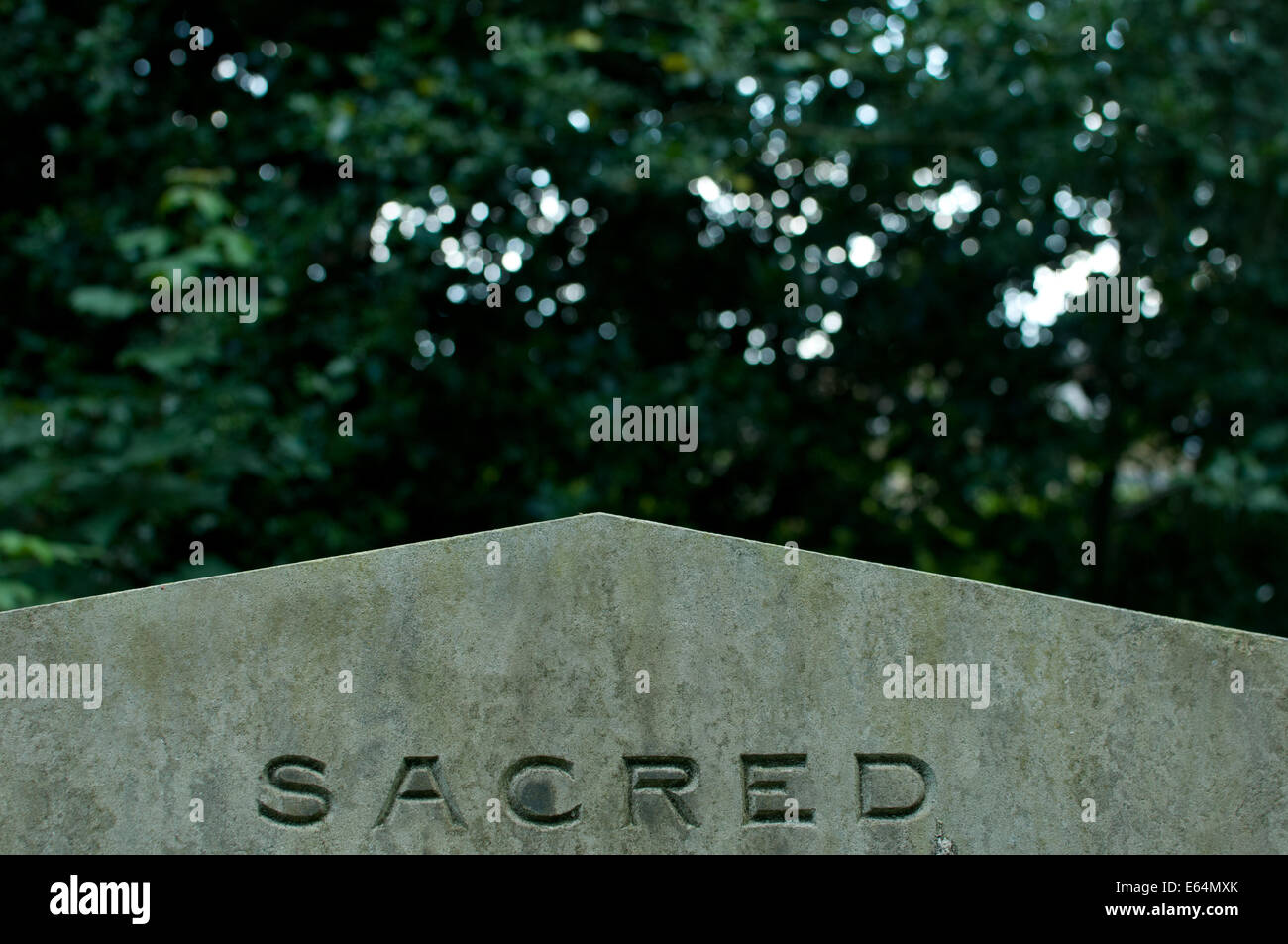 pietra tombale Foto Stock