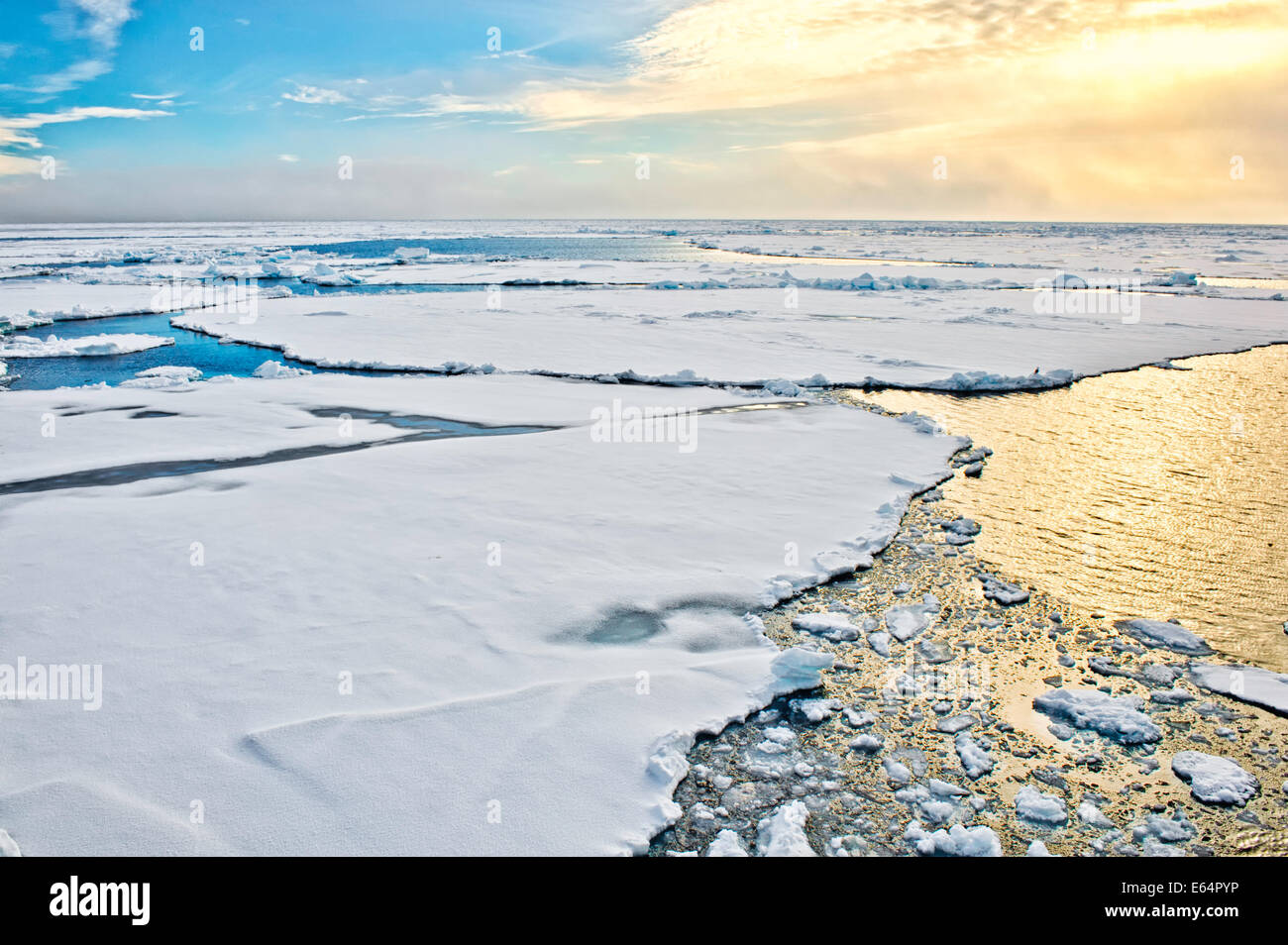 Pack rompere il ghiaccio fino in Svalbard nell'Artico nord della Norvegia. Foto Stock