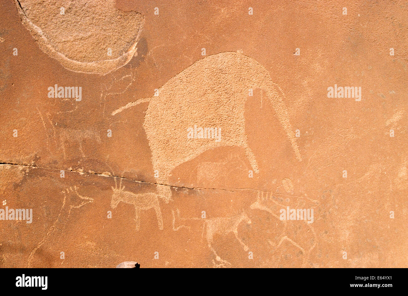 Disegni di roccia dei Boscimani Twyfelfontein, Damaraland, Namibia Foto Stock