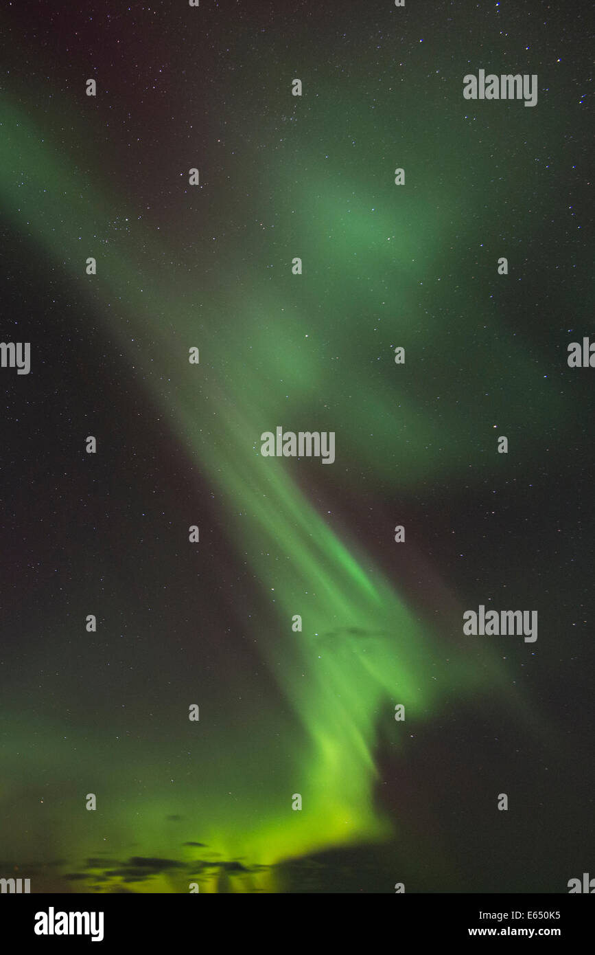 Luci del nord nel cielo, Lofoten, Norvegia Foto Stock