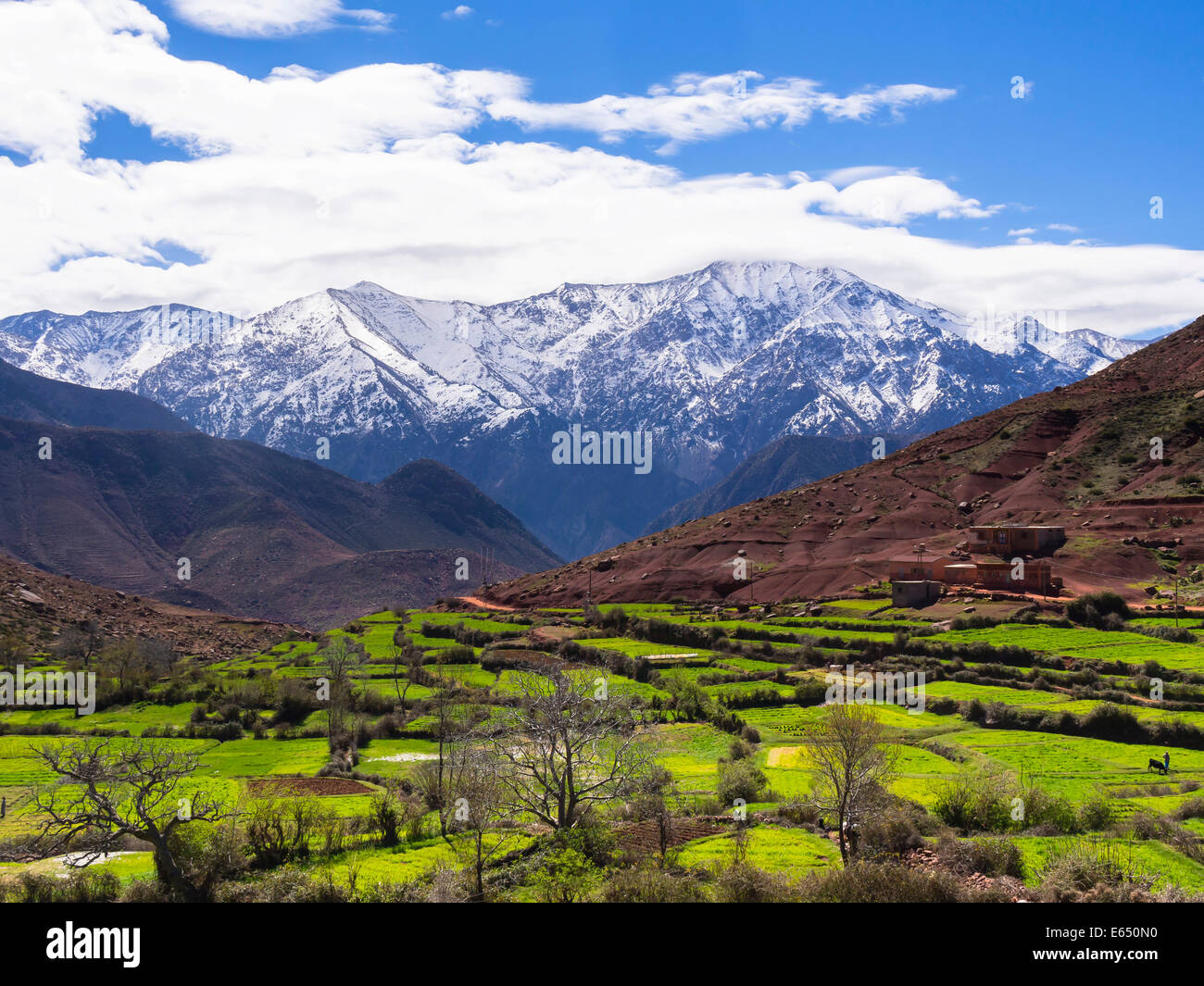 Vista dei monti Atlante, Ourika Valley, Atlante, Marrakech-Tensift-Al Haouz, Marocco Foto Stock