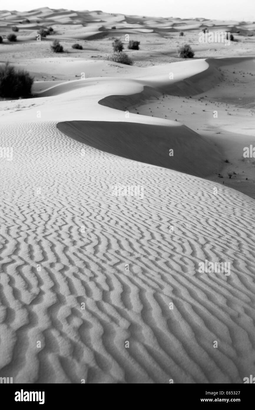 Deserto arabico, Dubai Foto Stock