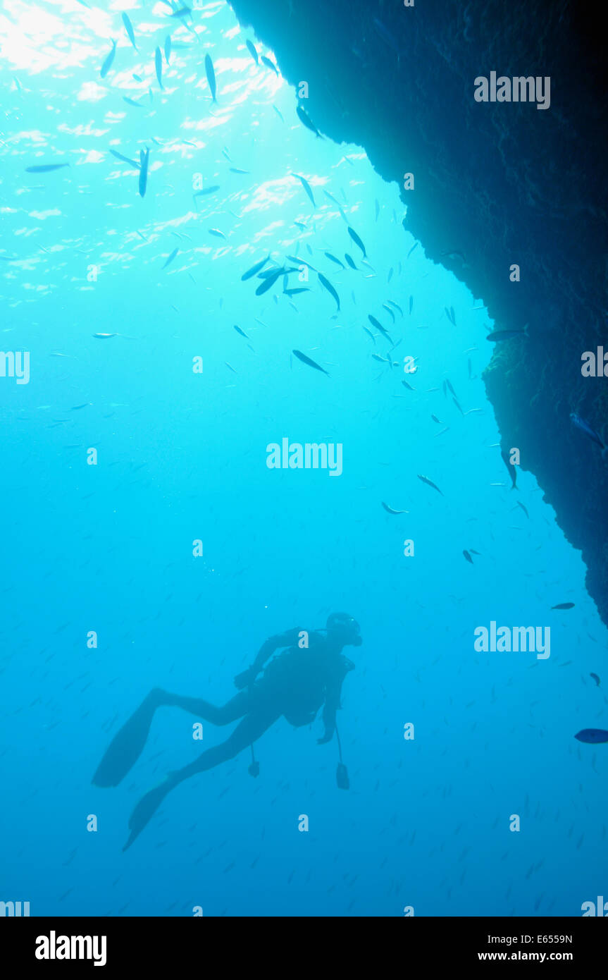 Scuba Diver guardando i pesci nel mare Mediterraneo al largo della costa di Marsiglia, in Francia, in Europa Foto Stock