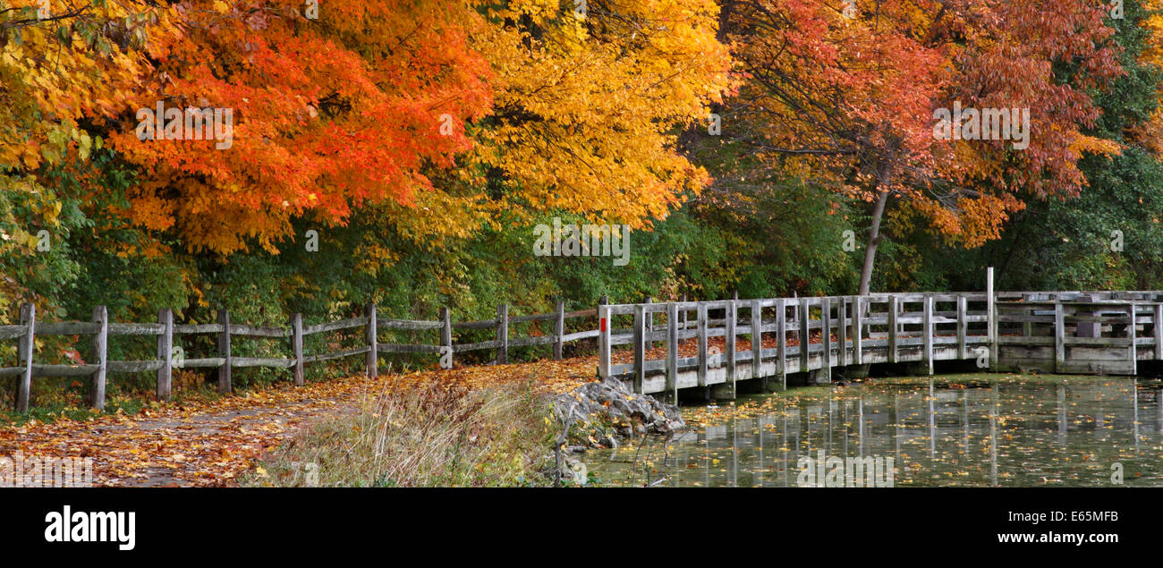 Alberi variopinto positivamente con il colore durante l'Autunno nel parco, percorso a piedi, recinzione e stagno, Sharon boschi, Southwestern Ohio, Stati Uniti d'America Foto Stock