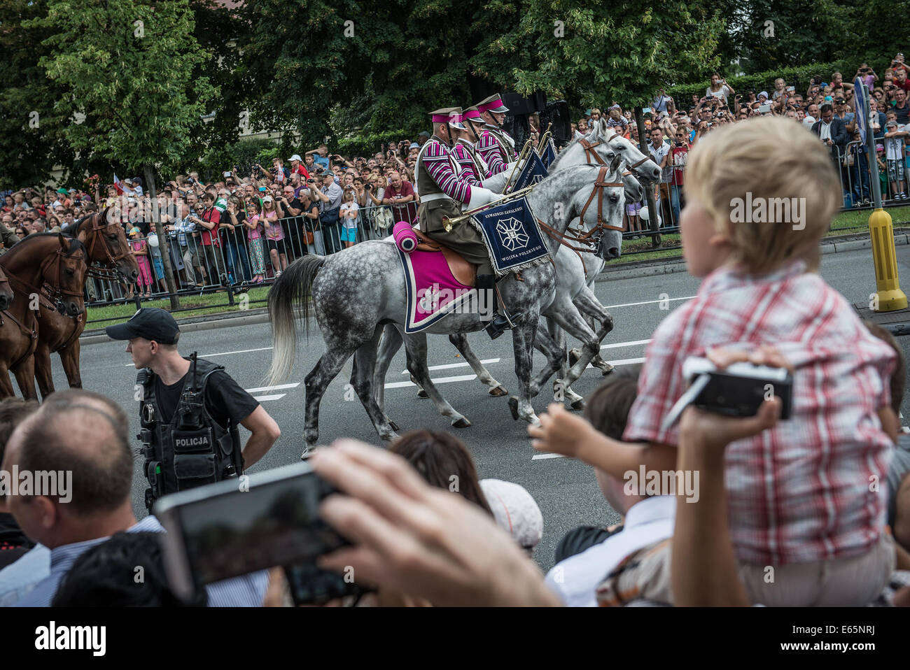 Varsavia, Polonia. 15 Agosto, 2014. Cavallo Polsih calvario durante il più grande parata militare in anni con cisterne, veicoli, soldati e velivoli marcatura forze armate polacche giorno e anniversario della vittoria polacco contro il russo bolscevichi nel 1920 a Varsavia in Polonia. Credito: kpzfoto/Alamy Live News Foto Stock