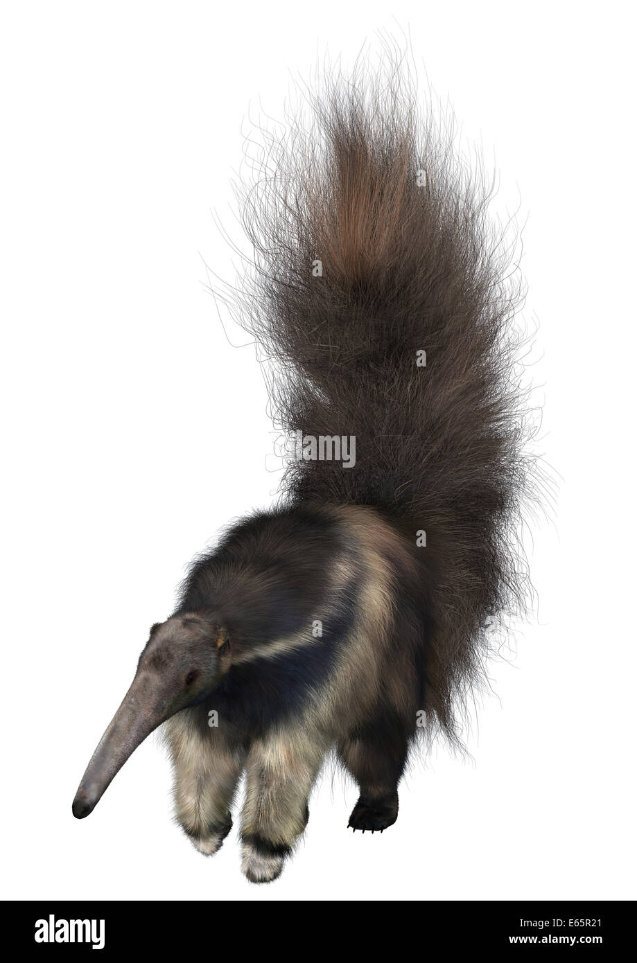 3D render digitale di un sorprendente animale anteater gigante isolato su sfondo bianco Foto Stock