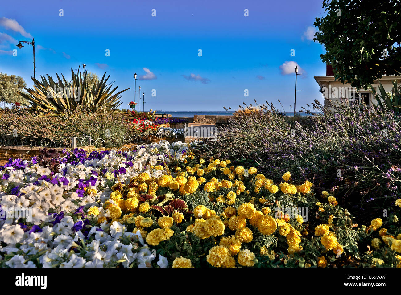 L'Isola di Wight noto agli antichi romani come Vectis, è un County e la più grande isola dell'Inghilterra Foto Stock