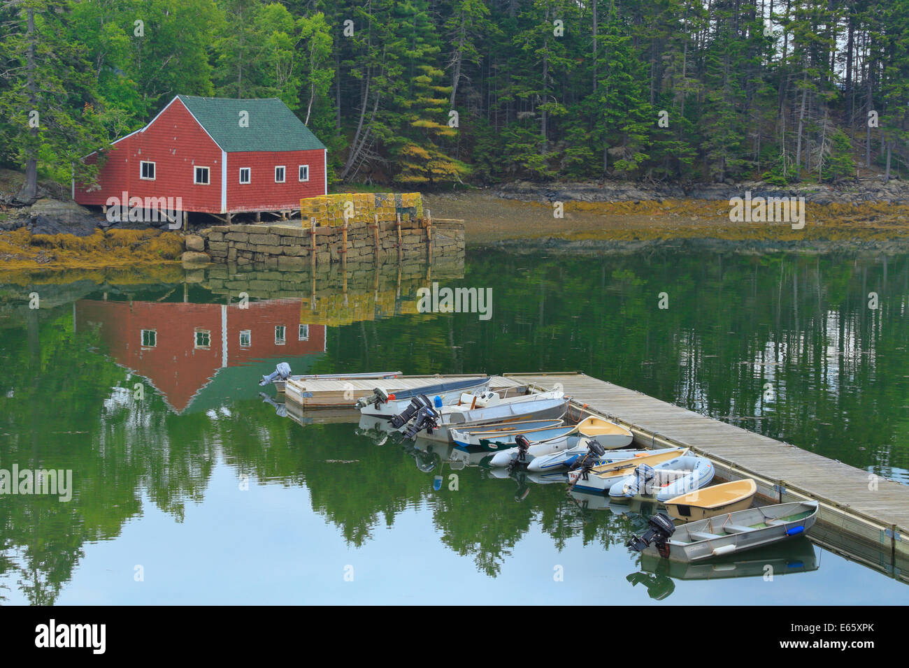 Aragosta, dock Sud Brooksville, Maine, Stati Uniti d'America Foto Stock