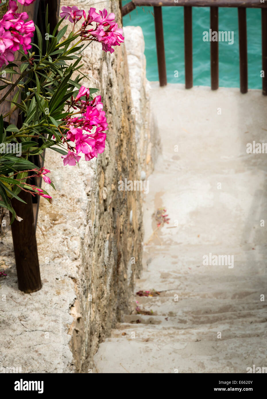 Percorso a piedi attraverso un rigoglioso giardino di fiori rossi in una soleggiata località in Grecia Foto Stock