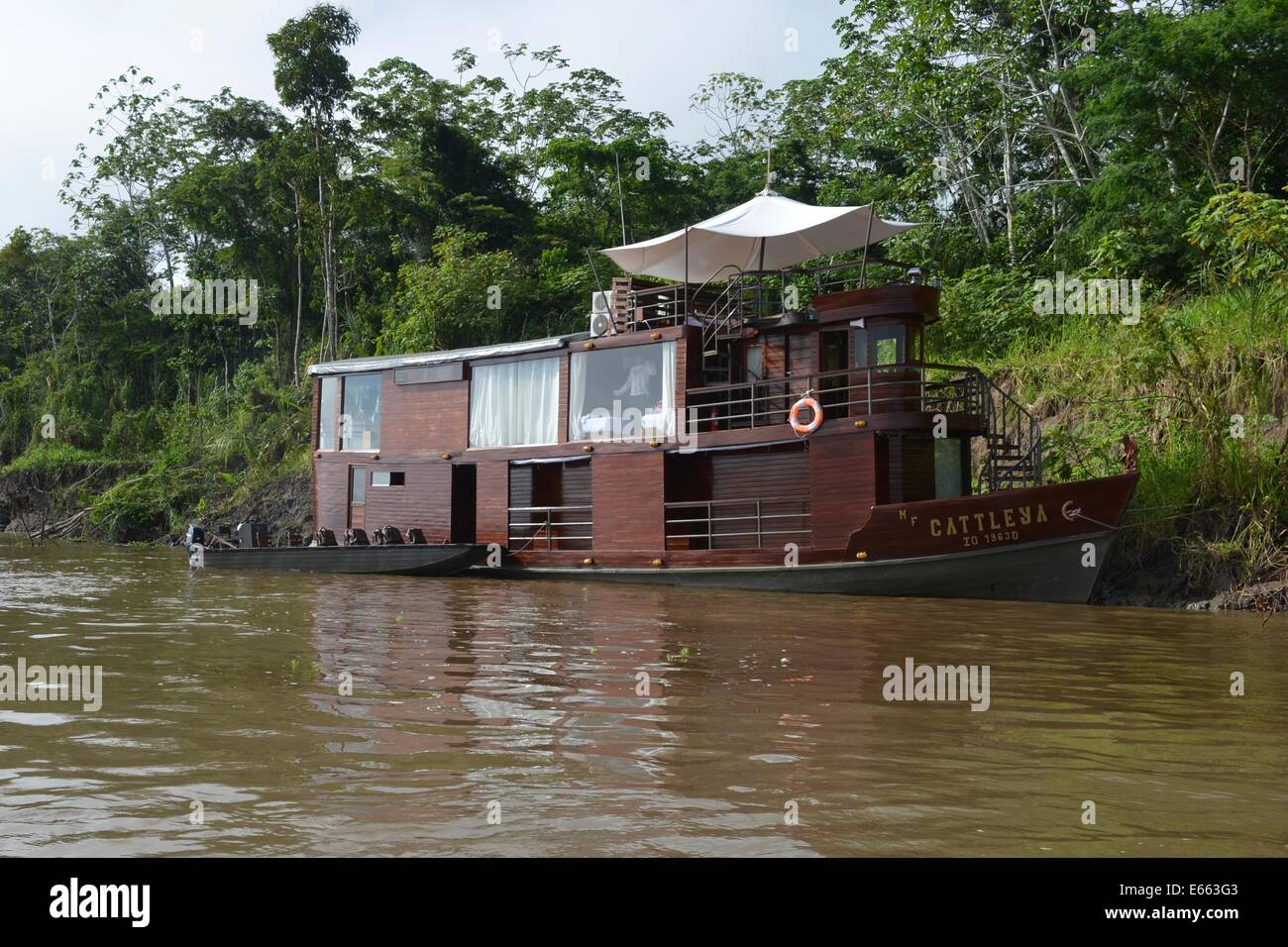 La Cattleya Amazon la nave di crociera sulle acque del Pacaya Samiria Riserva, vicino a Iquitos, Perù Foto Stock