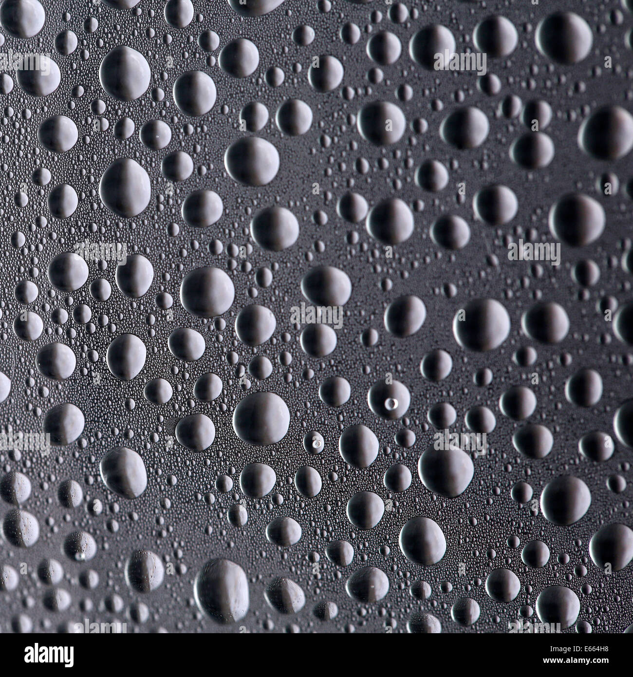 Gocce di acqua su sfondo grigio Foto Stock