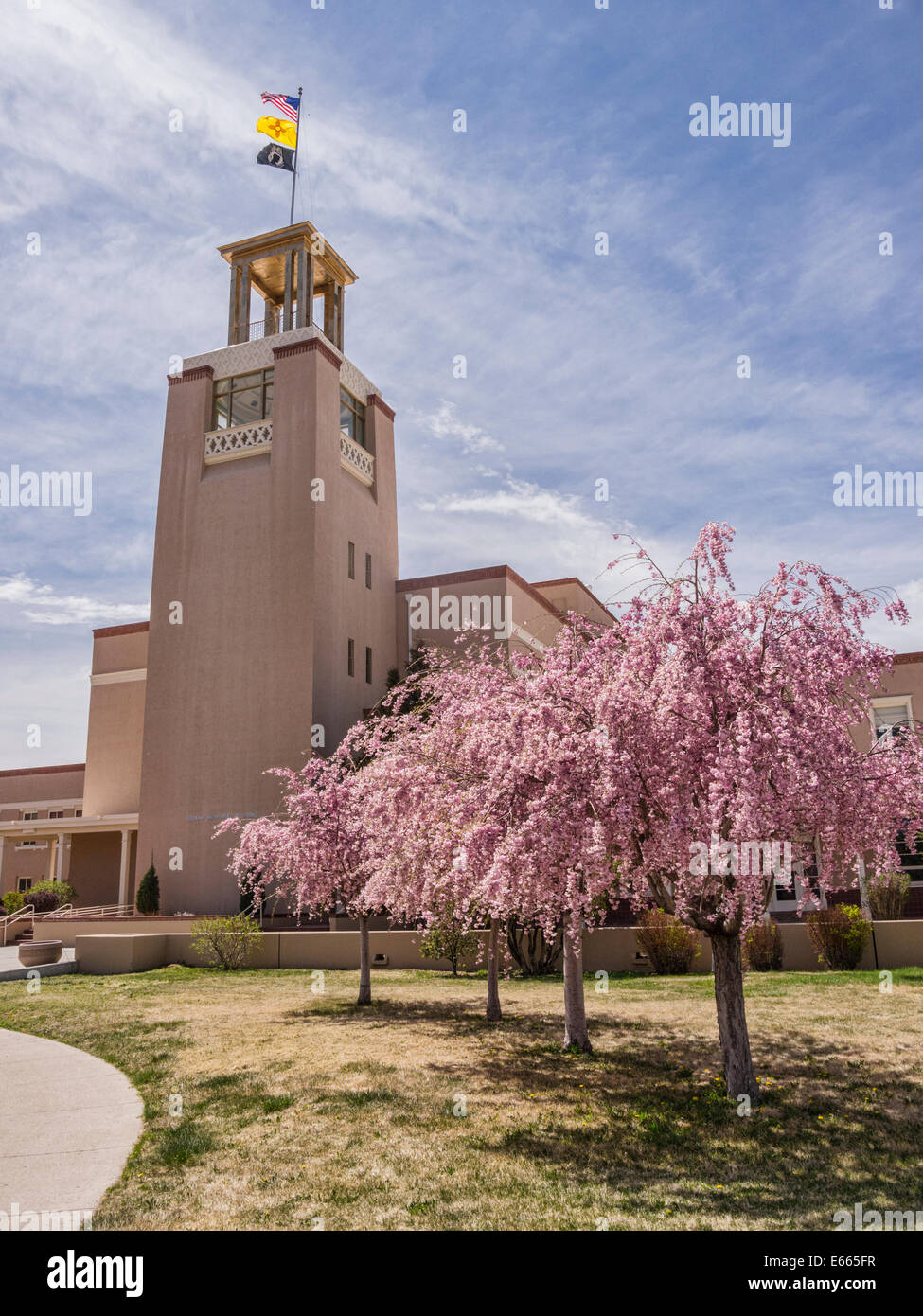 Gli alberi di ciliegio in fiore e la torre di Bataan Memorial Building, un nuovo Messico membro ufficio complesso di Santa Fe. Foto Stock