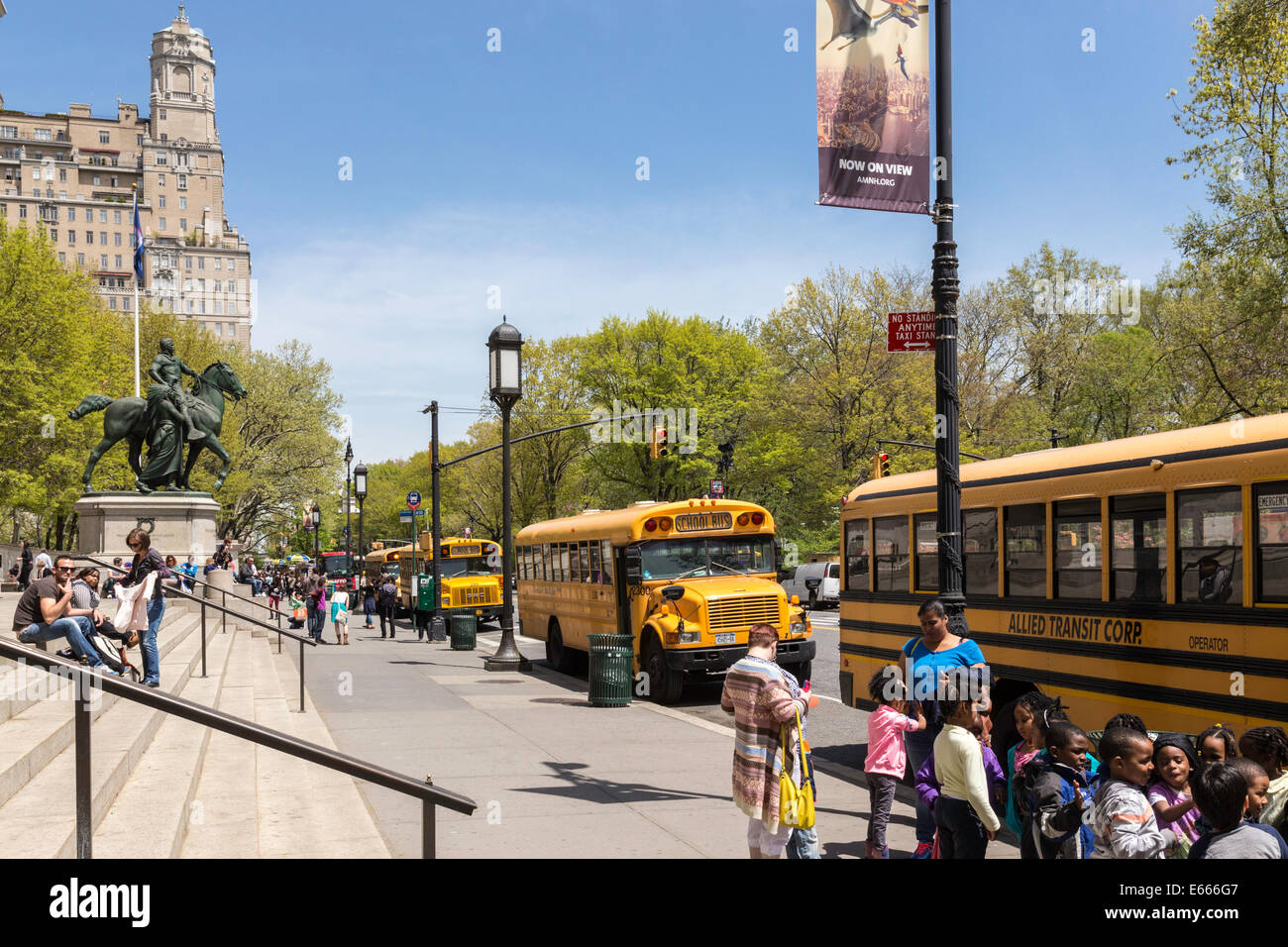 Gli scuolabus per la scuola elementare classe viaggi, il Museo Americano di Storia Naturale, NYC Foto Stock