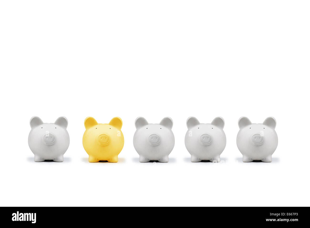 American suino casella di denaro isolato Foto Stock