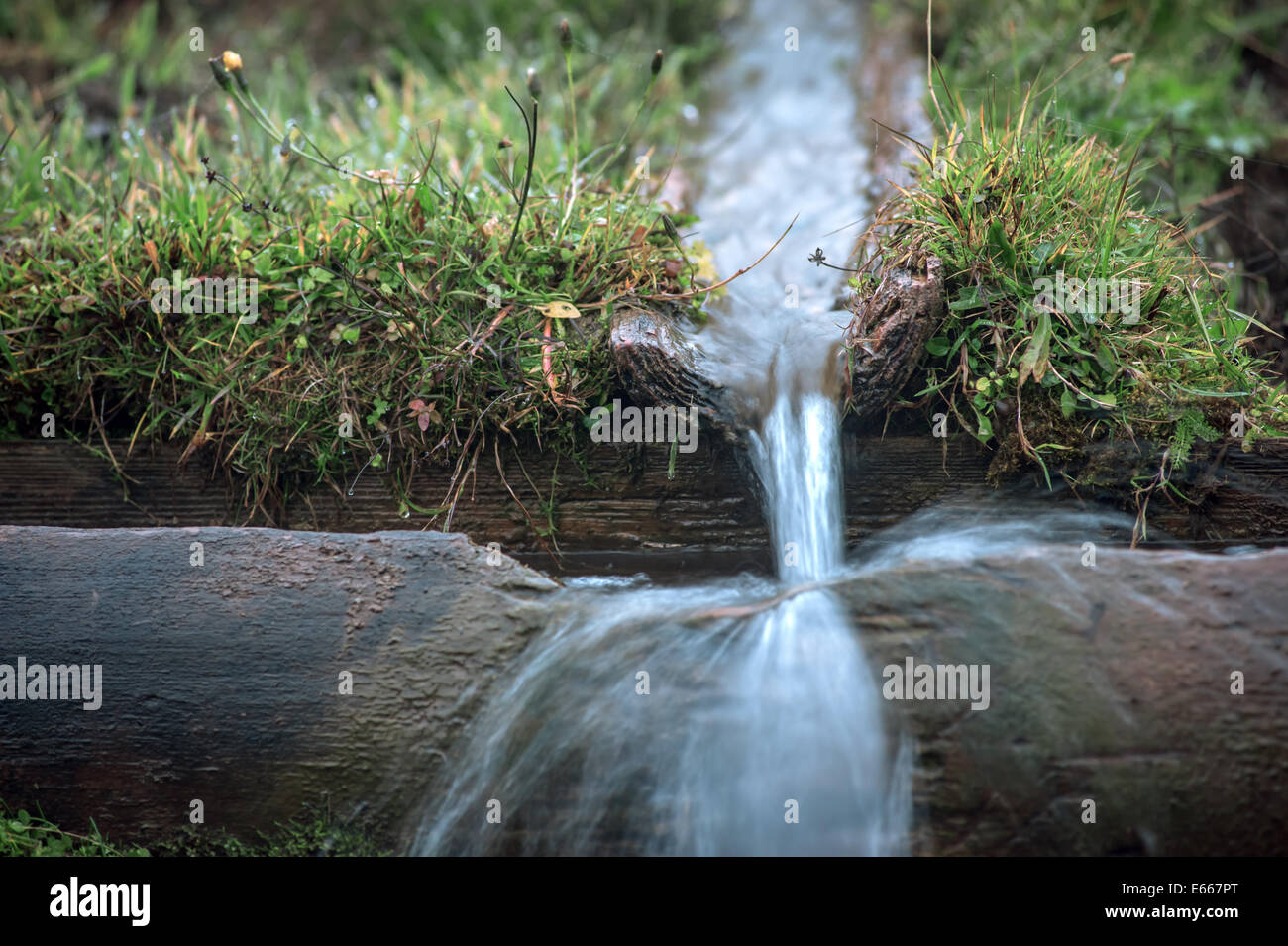 Piccolo ruscello di acqua sulla mattina tempo Foto Stock
