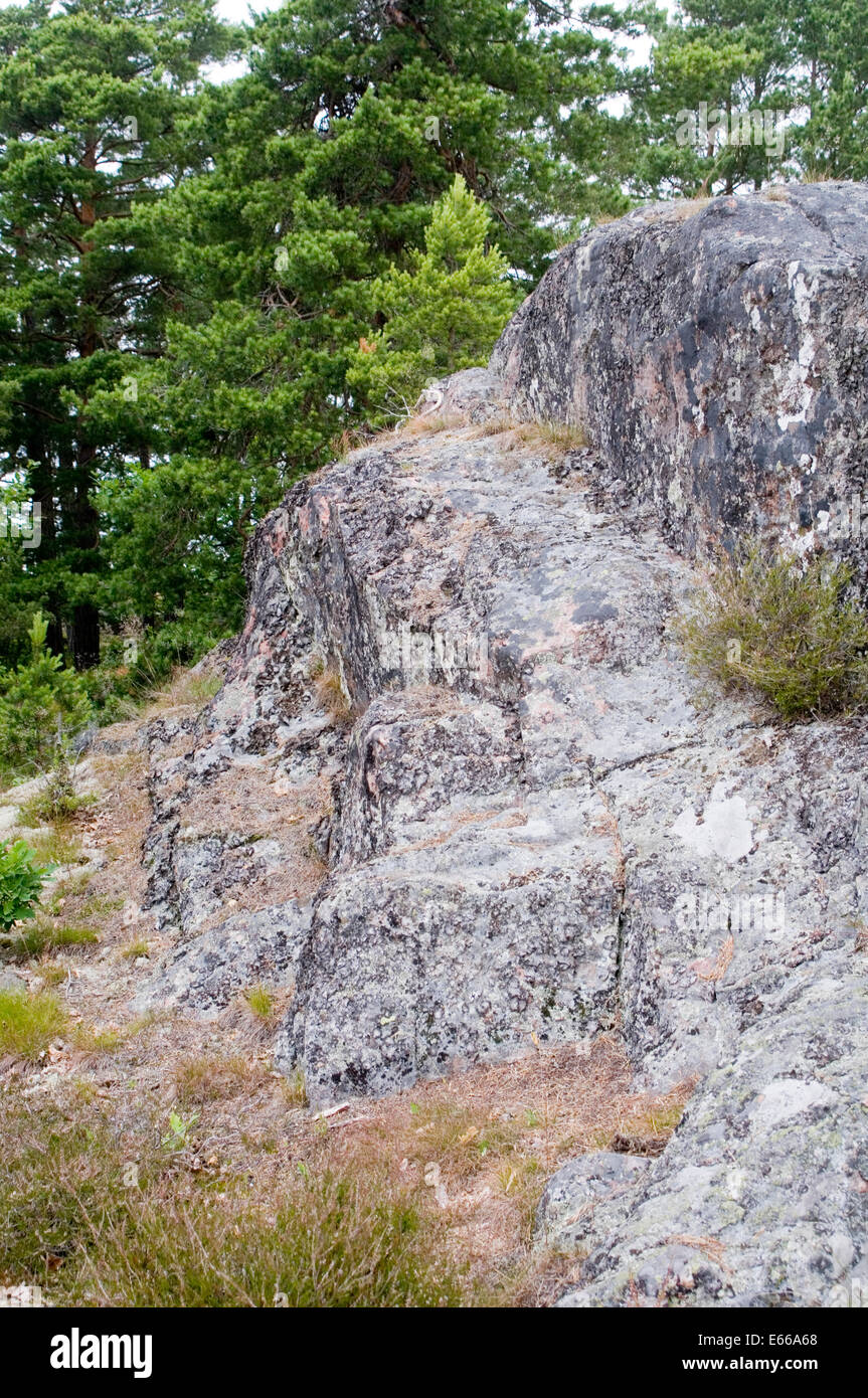 Roccia di granito roccia svezia svedese foreste foreste geologia Foto Stock