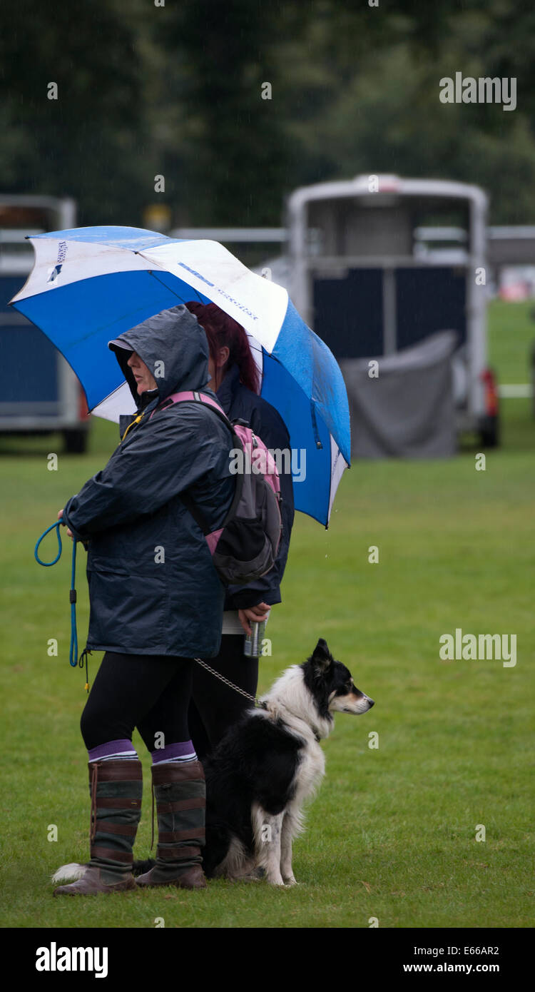 Due donne che stavano sotto la pioggia, la visione di un evento a Perth Visualizza 2014, mentre loro Collie cane guarda in direzione opposta. Foto Stock
