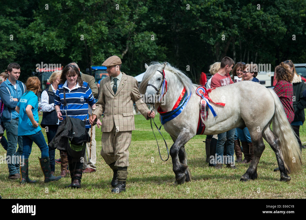 Una Ghillie portando il suo Highland Pony, al 2014 Aberfeldy Visualizza e giochi, Scozia Foto Stock