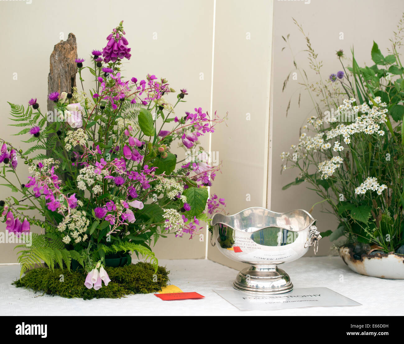 Wild composizioni floreali sul display nella tenda di artigianato, 2014 Aberfeldy Visualizza, Scozia. Foto Stock
