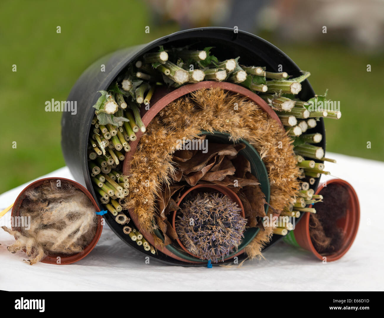 Fatte a mano Casa di insetto, fatta di materiali naturali per il giardino, sul display a 2014 Aberfeldy Visualizza, Scozia. Foto Stock