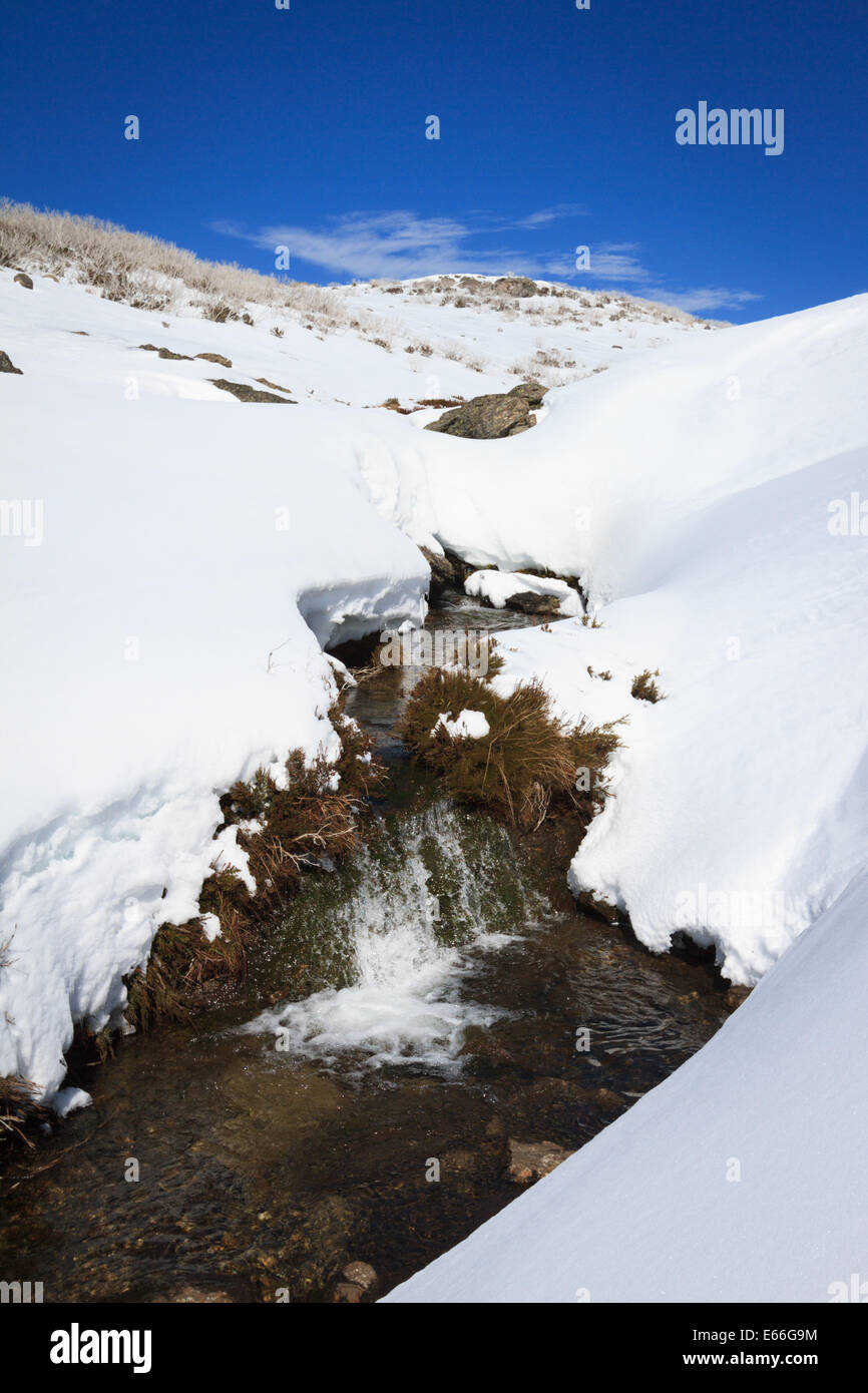 Flusso che scorre attraverso la neve sul Bogong High Plains, Australia Foto Stock