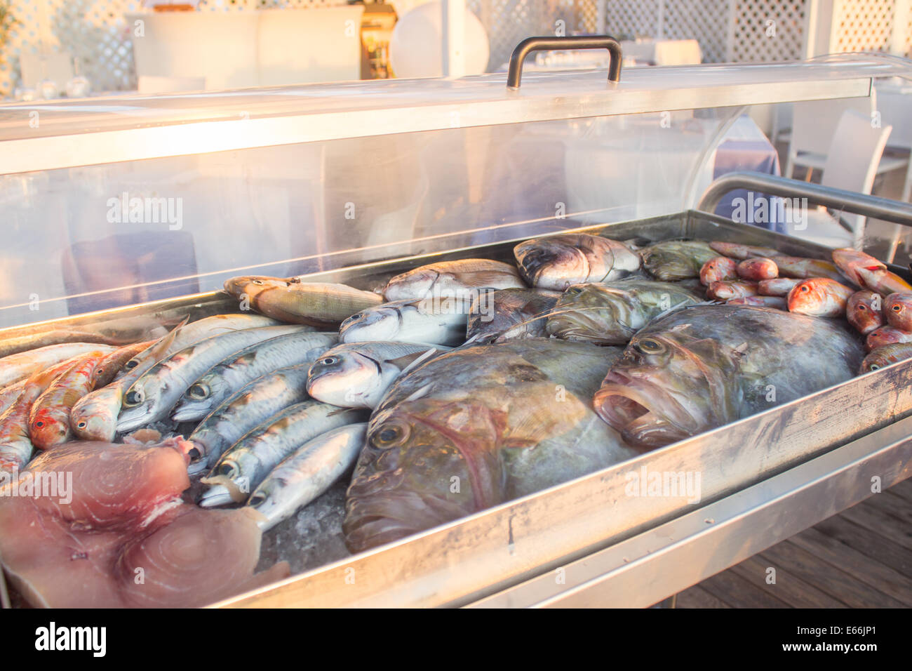 Pesce fresco lucido contenitore scatola di pesci 'ghiacciato in caso di visualizzazione' bass 'sea orate di 'mullet' di pesce spada Foto Stock