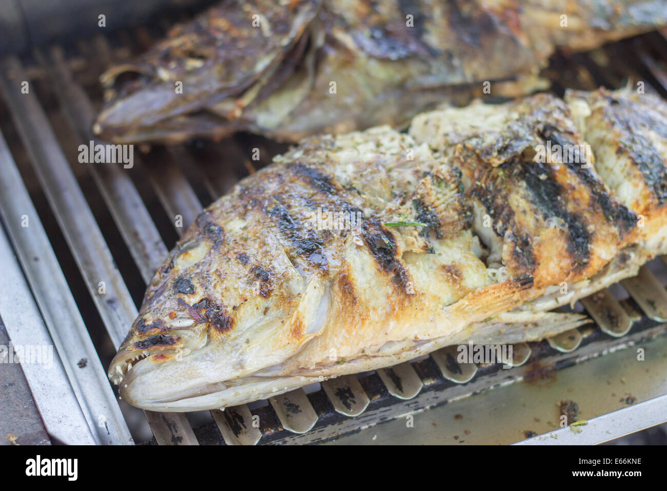 Grigliate di pesce preparati di pesce cotto grigliate di pesce closeup zomm Foto Stock