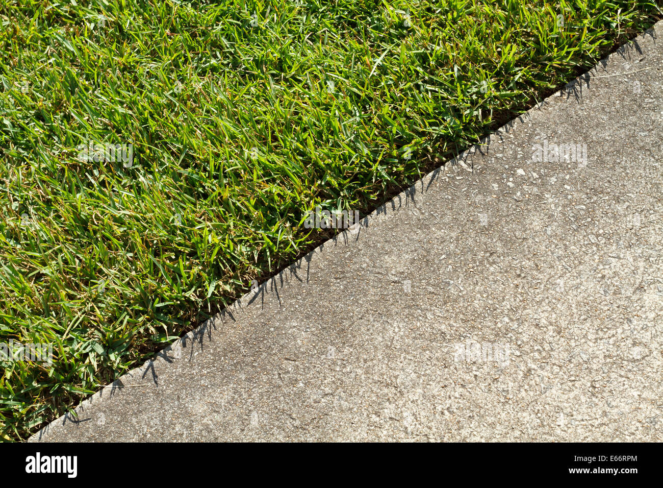 A bordo di confine dove erba verde in un prato e un marciapiede in calcestruzzo soddisfare su una soleggiata giornata estiva. Foto Stock