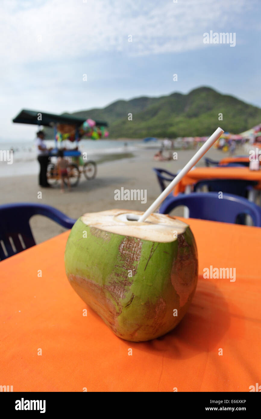 Cocco fresco servito presso uno dei ristoranti esterni fodera Playa Boquita in Manzanillo, Colima, Messico. Foto Stock