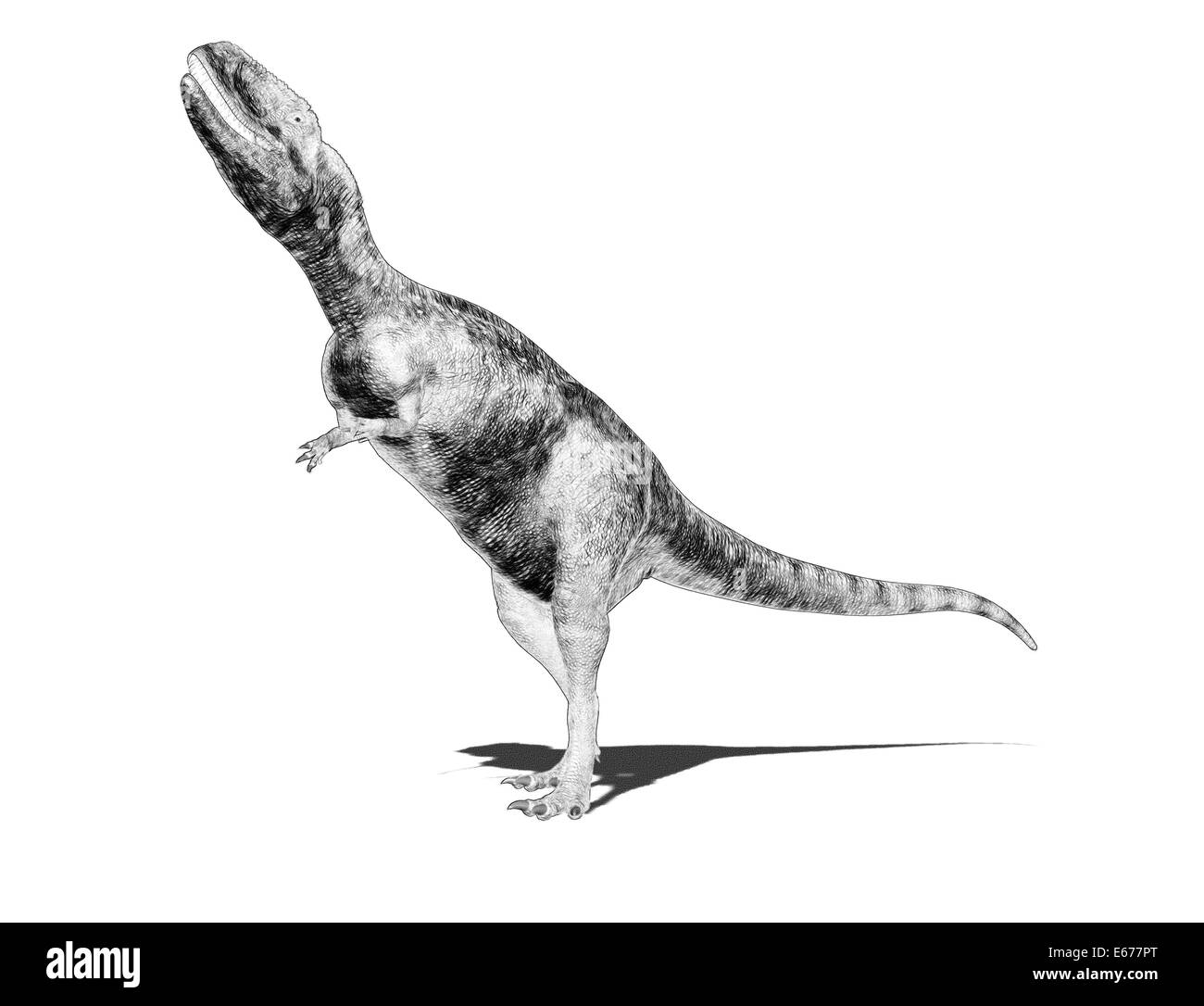 Dinosaurier Abelisaurus / Abelisaurus dinosauro Foto Stock