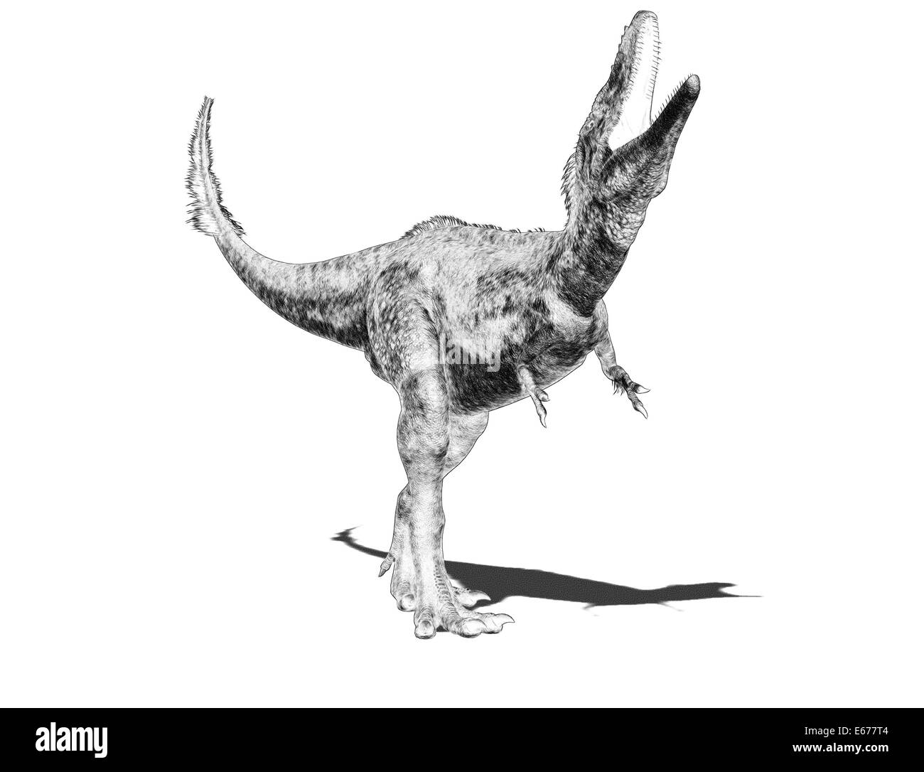 Dinosaurier Alioramus / Alioramus dinosauro Foto Stock