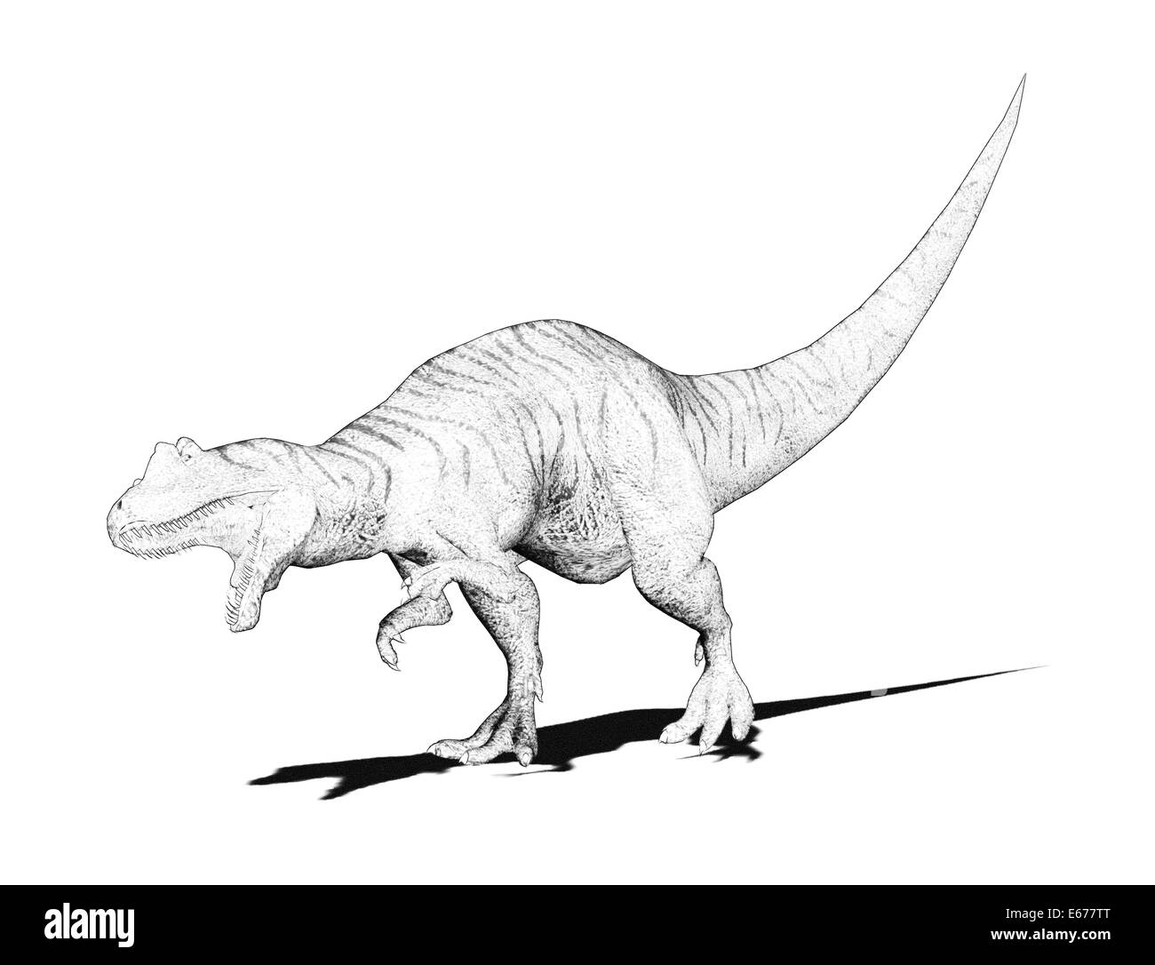 Dinosaurier Allosaurus / Alioramus dinosauro Foto Stock