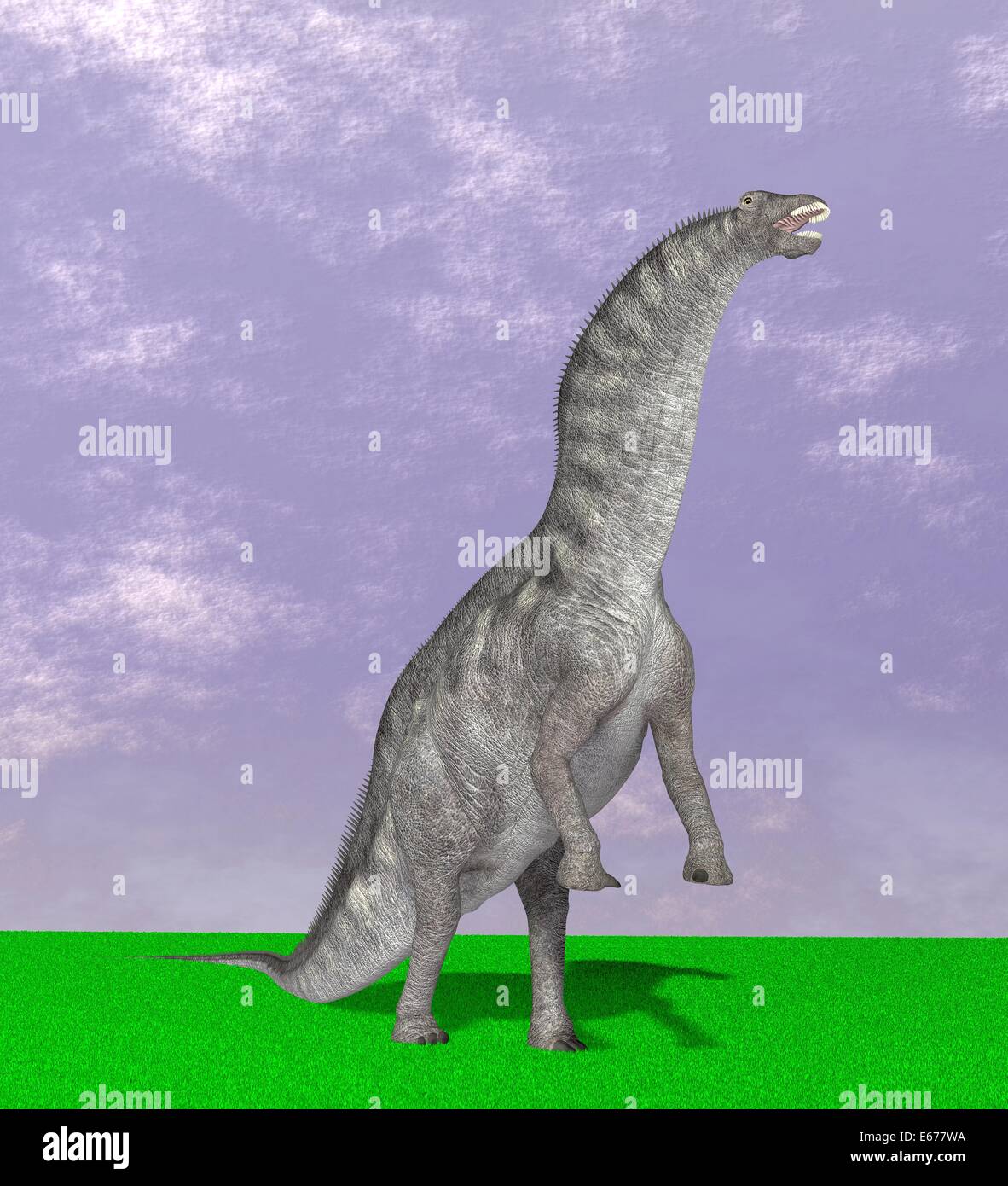 Dinosaurier Amargasaurus / Amargasaurus dinosauro Foto Stock