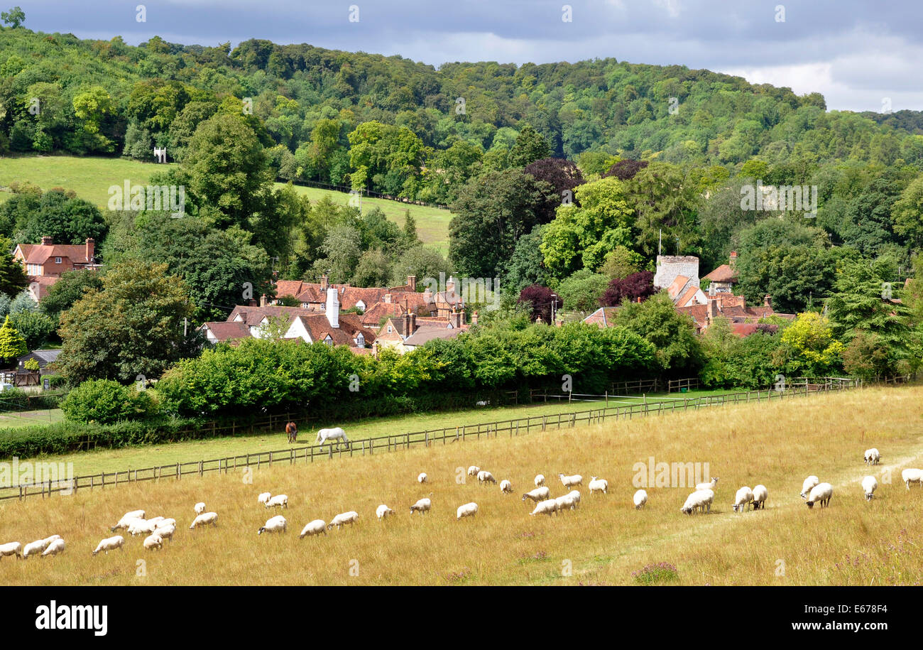 Bucks - Chiltern Hills - Vista di Turville village - campo Primo piano - Ovini - cottage tetti - campanile di una chiesa - la luce del sole Foto Stock