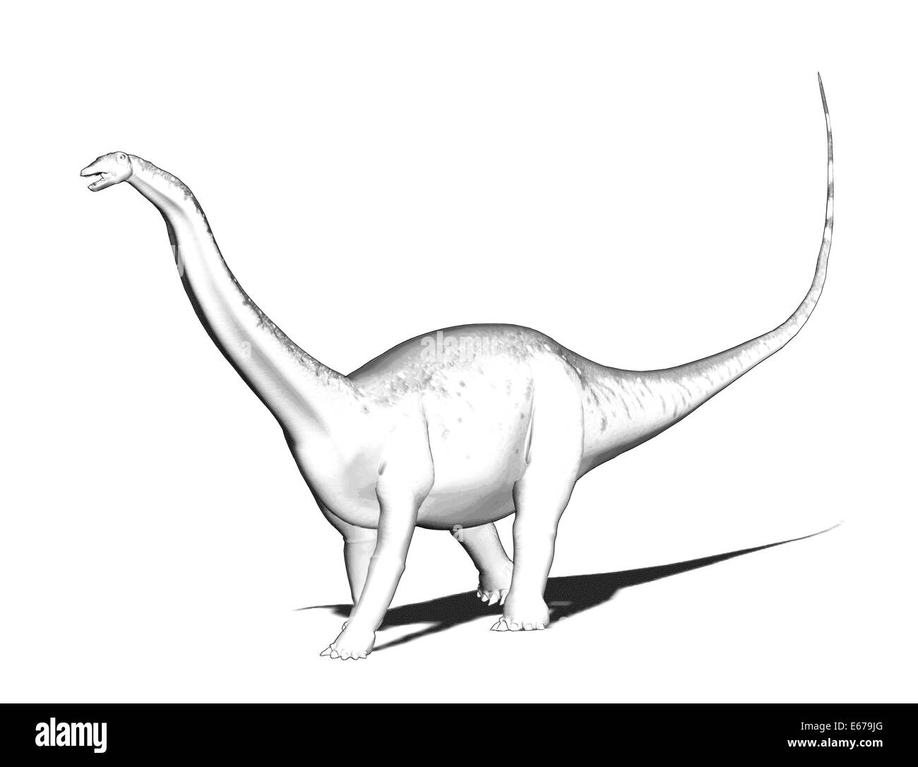 Dinosaurier / Apatosaurus Apatosaurus dinosauro Foto Stock