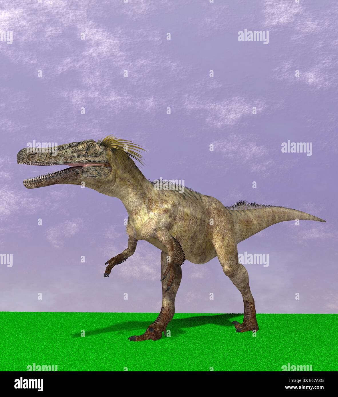Dinosaurier Austroraptor / Austroraptor dinosauro Foto Stock