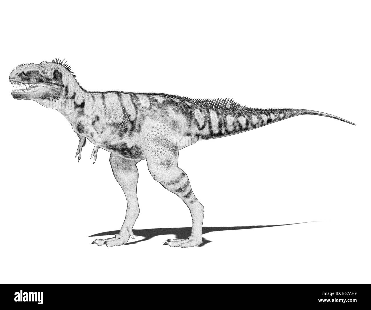 Dinosaurier Bistahieversor / Bistahieversor dinosauro Foto Stock