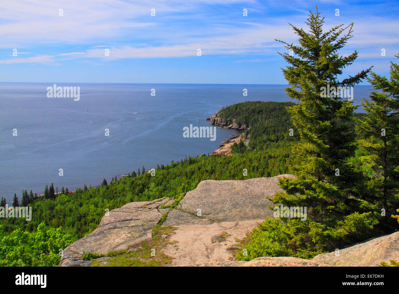 Otter Cliff visto da Gorham sentiero di montagna, parco nazionale di Acadia, Maine, Stati Uniti d'America Foto Stock