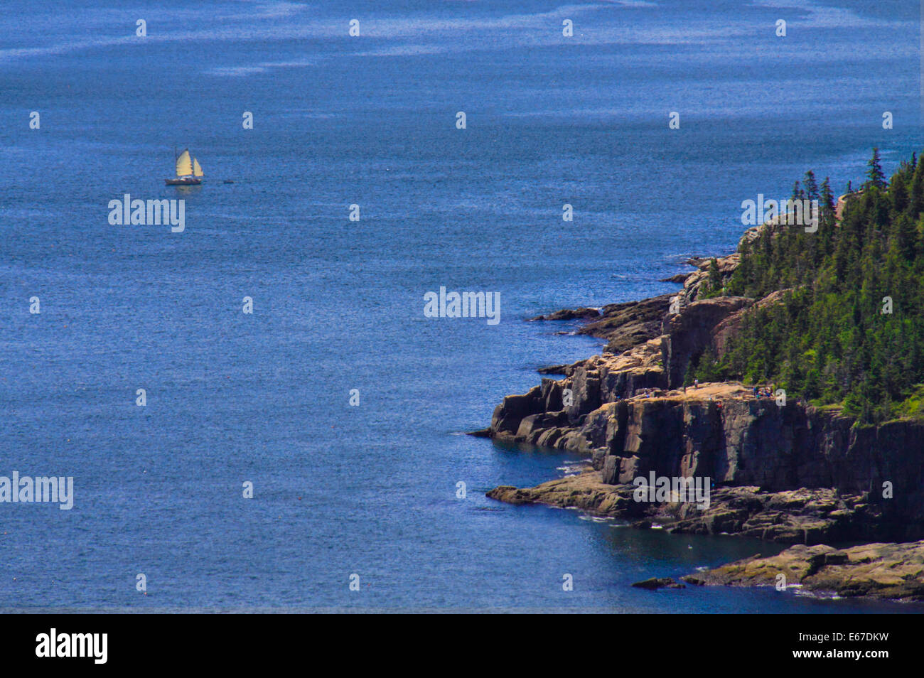 Otter Cliff visto da Gorham sentiero di montagna, parco nazionale di Acadia, Maine, Stati Uniti d'America Foto Stock