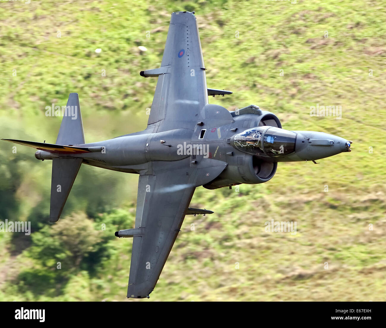 Nel servizio di RAF, Harriers sono utilizzati in attacco al suolo e ricognizione dei ruoli. A differenza del Harrier AV8B+ upgrade, la RAF hanno Foto Stock