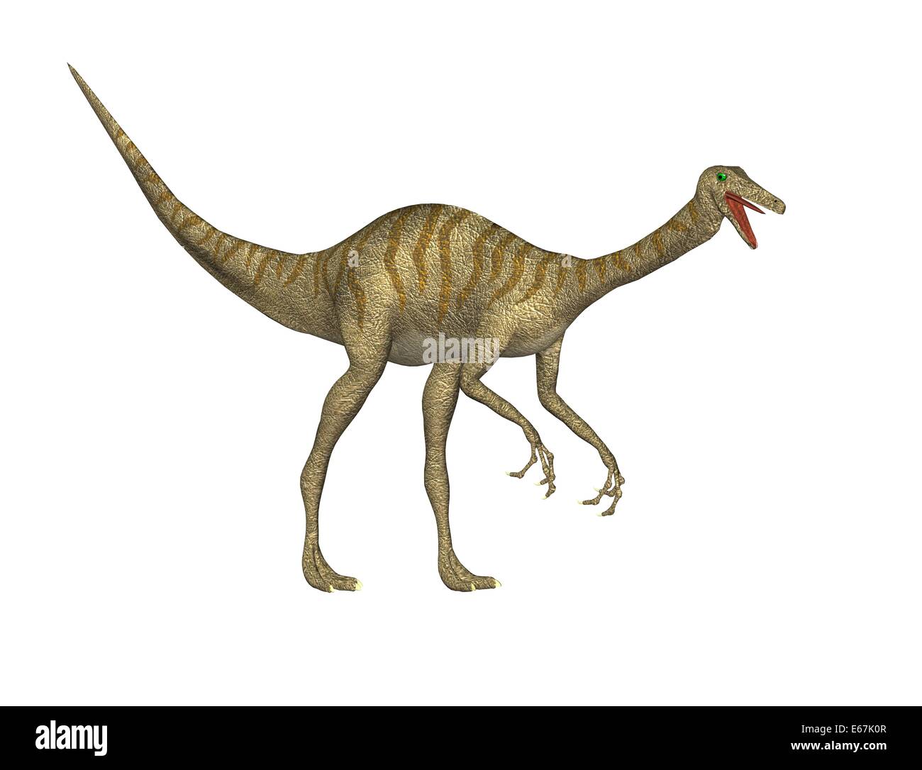 Gallimimus Dinosaurier / Gallimimus dinosauro Foto Stock