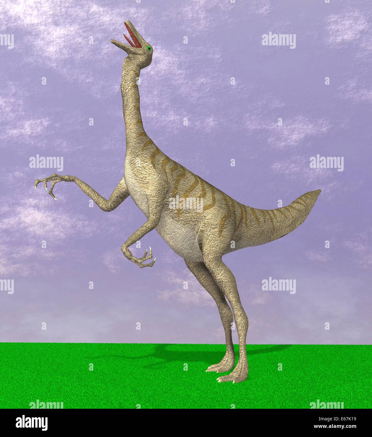 Gallimimus Dinosaurier / Gallimimus dinosauro Foto Stock