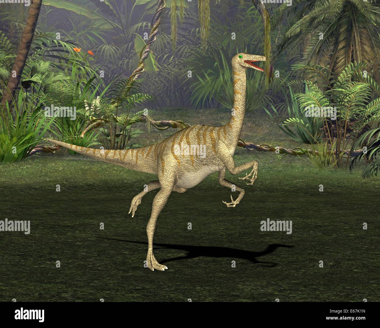 Gallimimus Dinosaurier / Gallimimus dinosauro Foto Stock