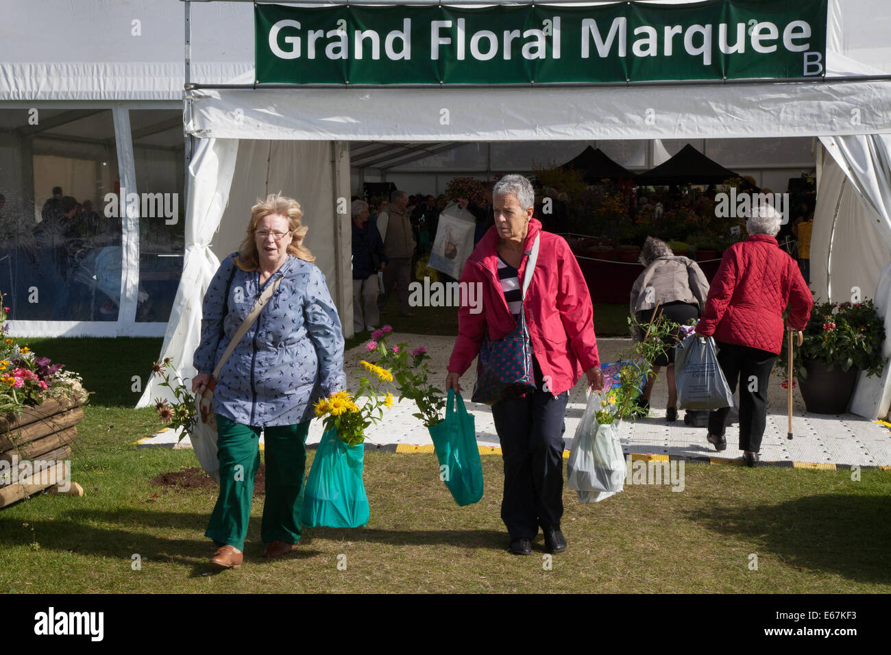 Southport, Merseyside, Regno Unito. 17 Agosto, 2014. Presenta in corrispondenza della Gran Bretagna indipendente più grande mostra dei fiori, che celebra il suo ottantacinquesimo anno con un rivoltosi carnevalesca celebrazione di tutte le cose latino-americano. Intrattenimento, dimostrazioni di cibo e naturalmente garden design. Credito: Mar fotografico/Alamy Live News. Foto Stock